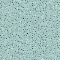 oud mint glitter ster