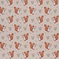 katoenen ribsoft tricot eekhoorntjes BEEBSstofjes