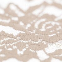 lace-fabric-Beige-kickenstoffen