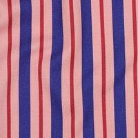 Canvas Strepen Poppy &ndash; roze blauw