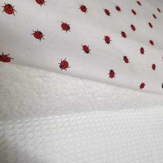 ladybugs met witte wafel en teddy katoen