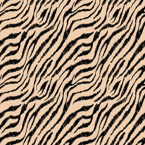 zebra strepen kiezel