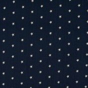 dark blue white small star