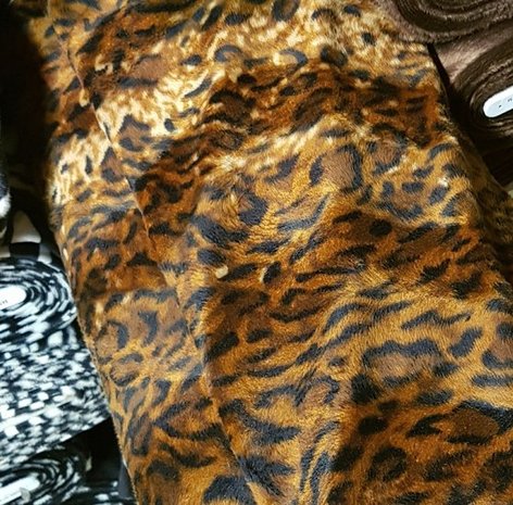 luipaard - panter