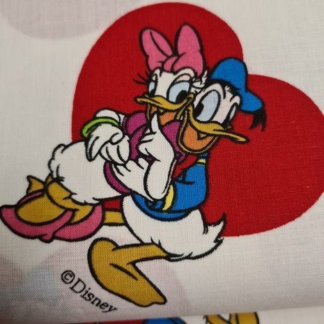 disney donald en katrien