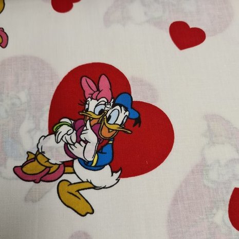 disney donald en katrien