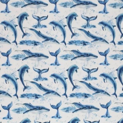 wit (off white) blauw dolfijnen en walvissen - digitaal tricot