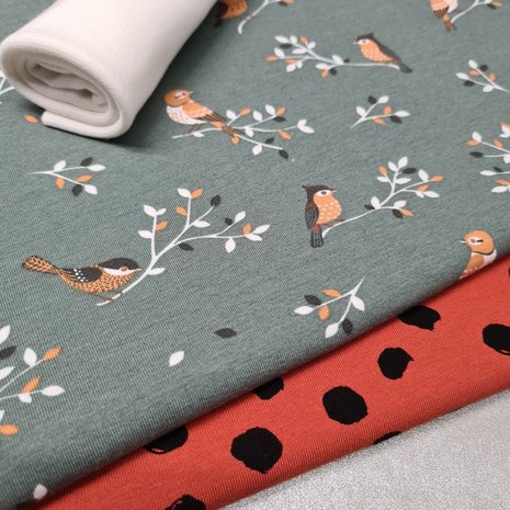 roest painted dots met dusty groen vogeltjes tricot en off white boordstof