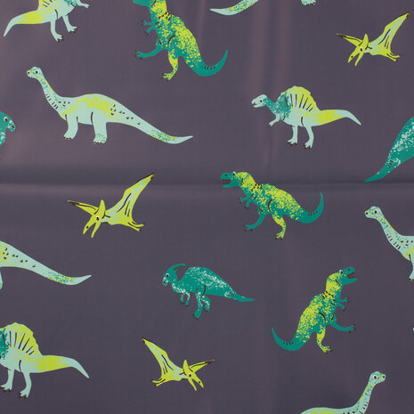 Dino regenjas best sale