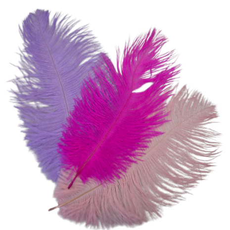 pieten veren KicKenStoffen