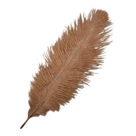 beige struisvogel veer KicKenStoffen