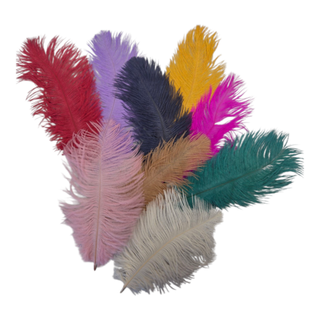 pieten veren KicKenStoffen