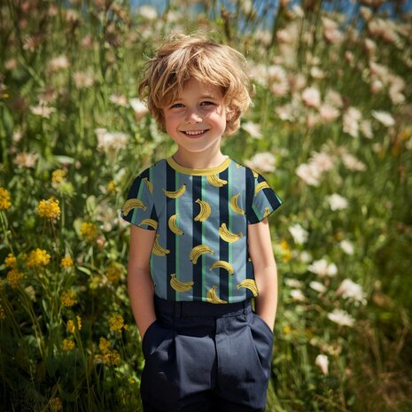 jersey fruits 07148.016_kickenstoffen