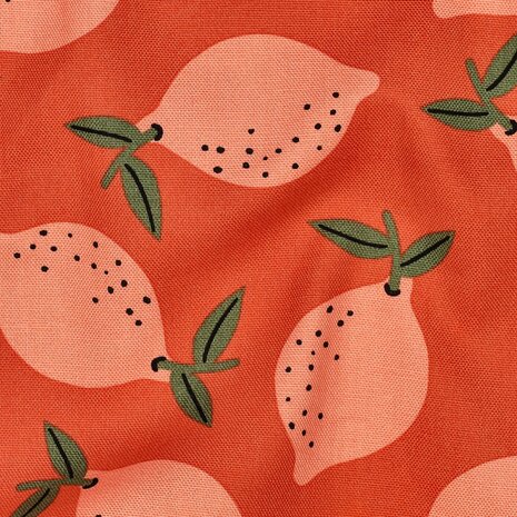 fruity canvas 08116.Poppy fabrics