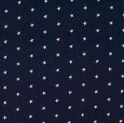 dark blue white small star