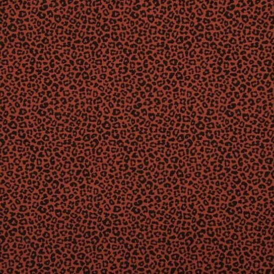 terracotta pantertje