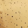 ocher black confetti