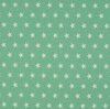 mint groen (fel) wit middel ster poplin katoen (op=op)