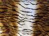 brandy white tiger velvet