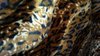 brown black leopard velvet
