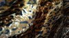 brown black leopard velvet