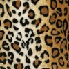 leopard big cuddle fleece