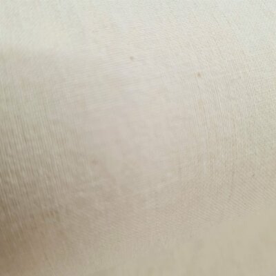 ecru plain cotton