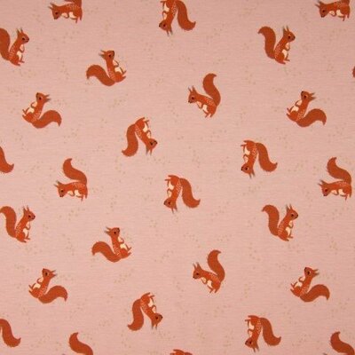 roze (poeder) cognac eekhoorn bosdier - tricot