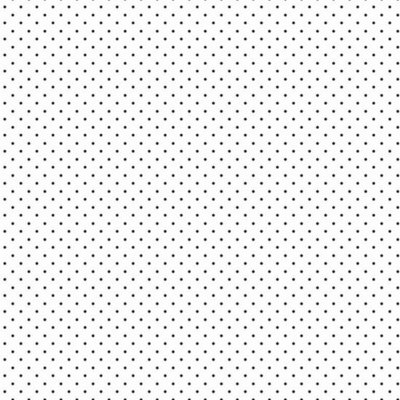 wit zwart klein stipje poplin katoen