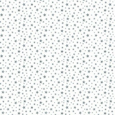 wit zilver glitter sterretje poplin katoen