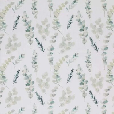 white green eucalyptus twigs digital