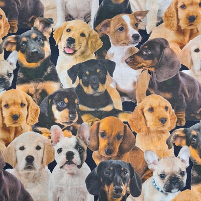 camel cognac bruin wit zwart honden udi digitaal katoen (op=op)