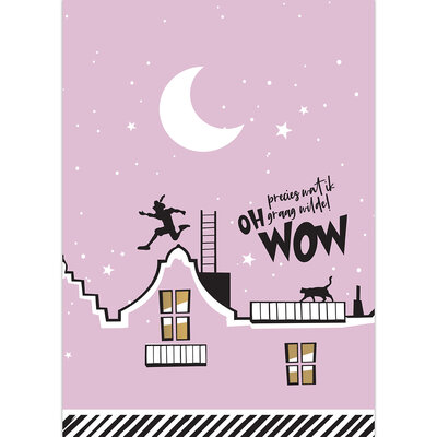 roze Verlanglijstje Sint