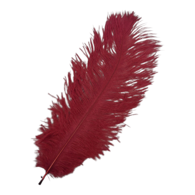 roze (framboos) Veer Pietenveer