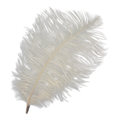 wit (natural) Veer Pietenveer