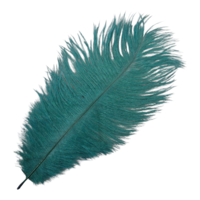 groen (donker) Veer Pietenveer